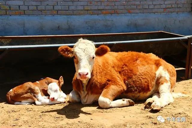 1623890687836150.jpg 1623890687836150.jpg