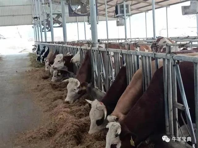 1623890729809126.jpg 1623890729809126.jpg