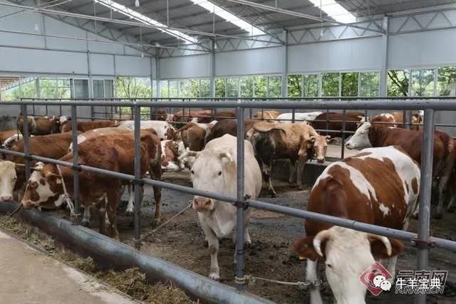 1623890749224281.jpg 1623890749224281.jpg