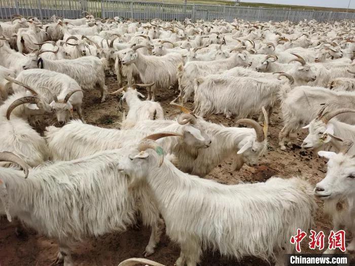 1623979311138747.jpg 微信图片_20210618092014.jpg