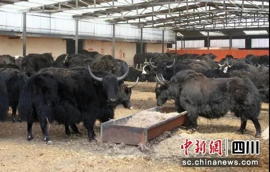 1624327716124297.jpg 微信图片_20210622100751.jpg