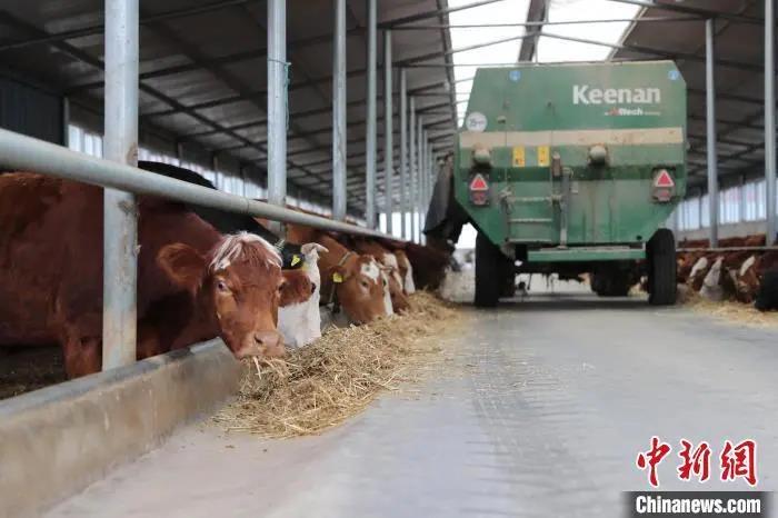 1627628662945193.jpg 微信图片_20210730150331.jpg