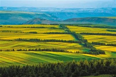 1632277351722675.jpg 1632277351722675.jpg