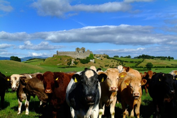 1673336266427692.jpg 1.jpg