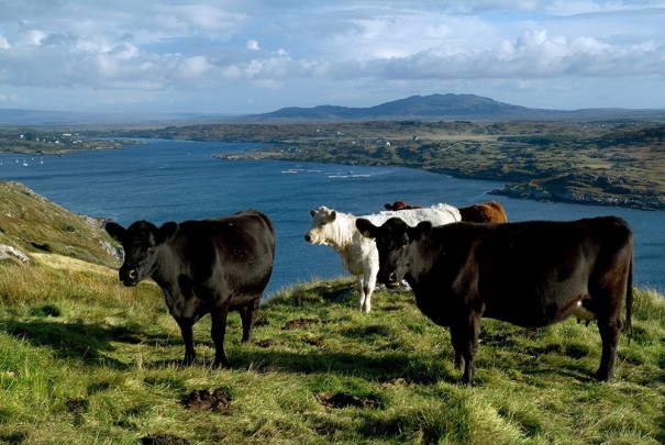 1673336592102906.jpg 3.jpg