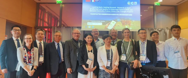 1701852360268776.png image.png