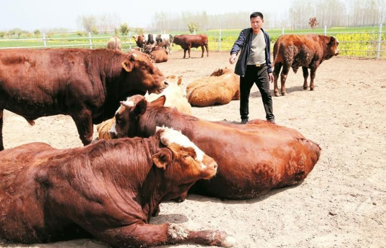 1704509573471284.png image.png